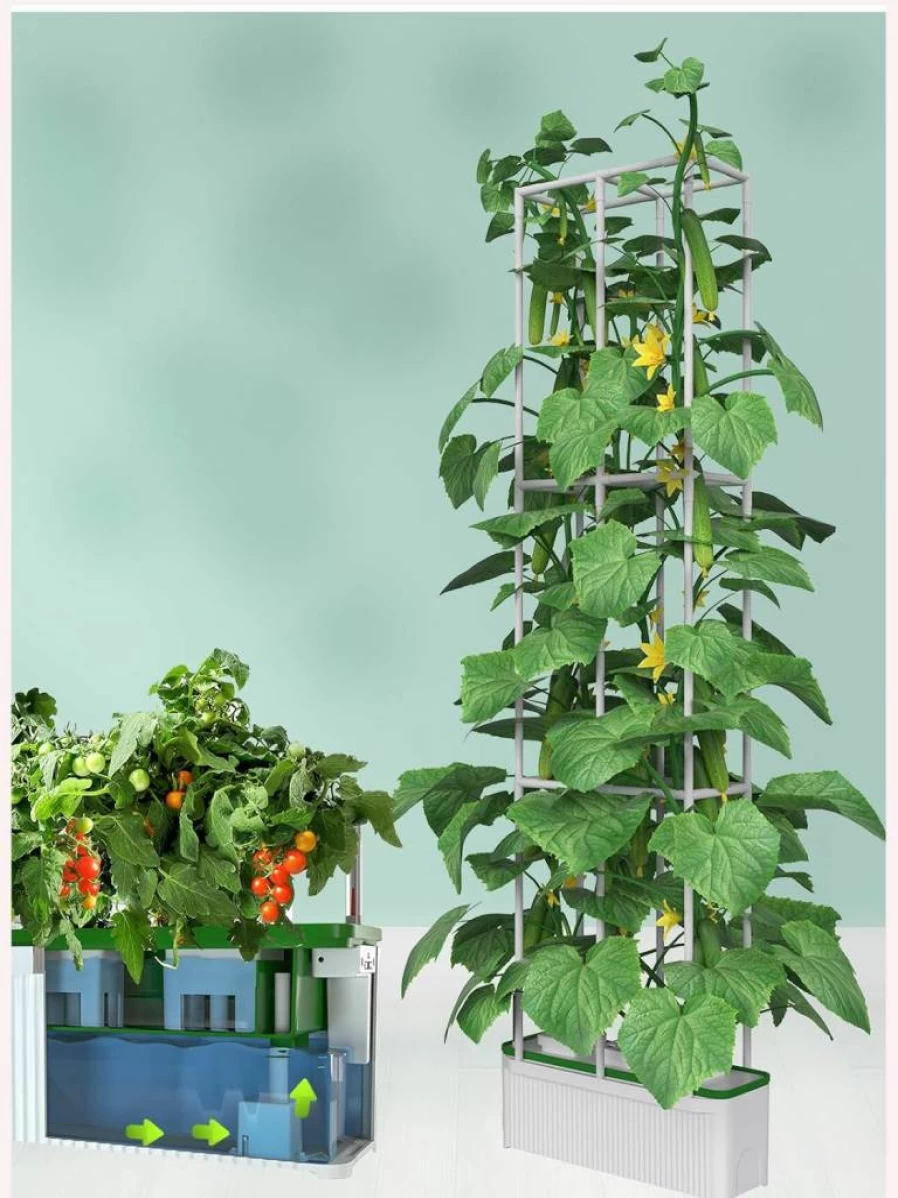 E SUPEREGROW 7L Large Smart Indoor Hydroponics Growing System Kit with 60" Trellis - Herb, Tomato, Pepper, Cucumber Hydroponic Garden for Home, Gift for Wife, Husband, Mom (No Light Included)