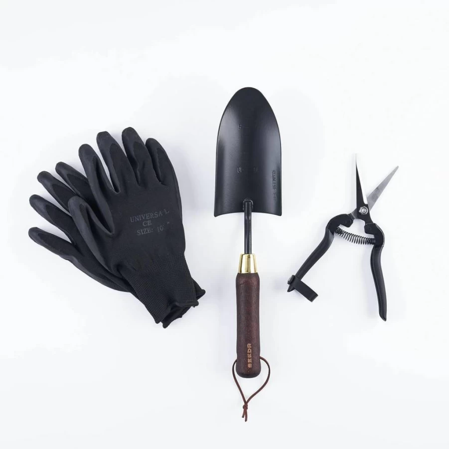 SEEDR GARDEN WORKS 3-Piece Stainless Steel Indoor Gardening Tool Set - Pruning Shears, Trowel, Gloves for Plant Care