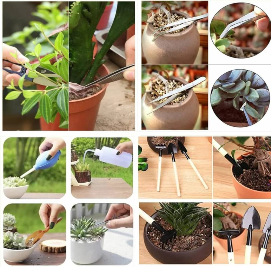 17 Piece Mini Garden Tool Set for Succulents, Bonsai & Cactus - JINLYXHUI Planting, Watering & Transplanting Kit