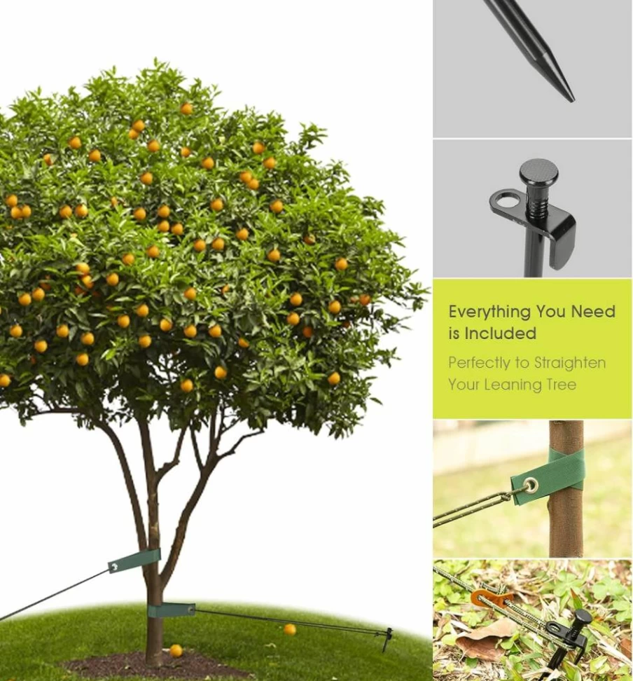 RIFNY Heavy Duty Tree Support Kit - 11.8 Inch Steel Stakes, 13.1 Ft Rope & Straps for Windproof Young Tree Anchoring & Straightening (3-Pack)