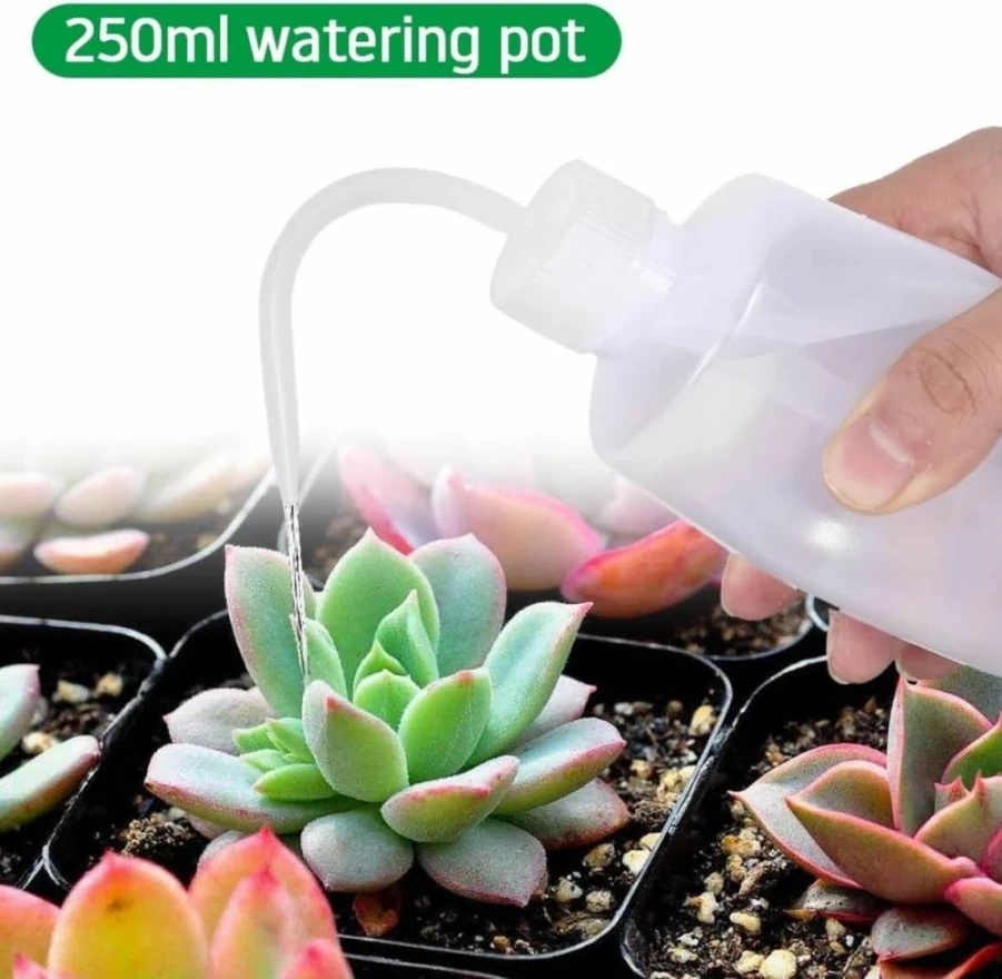 Peosaard 16Pcs Mini Gardening Tool Set for Succulents & Indoor Plants - Compact Transplanting Kit for Women, Home Garden Care Essentials