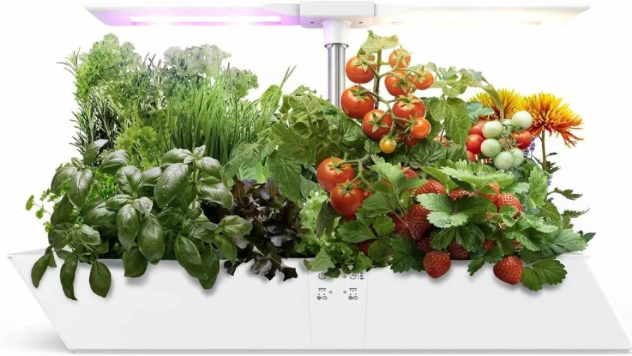 GarveeLife Hydroponic Growing System with LED Grow Light, 12 Pods Indoor Garden Kit, 4L Water Tank, Auto Timer, Herb Planter for Home & Kitchen Gardening