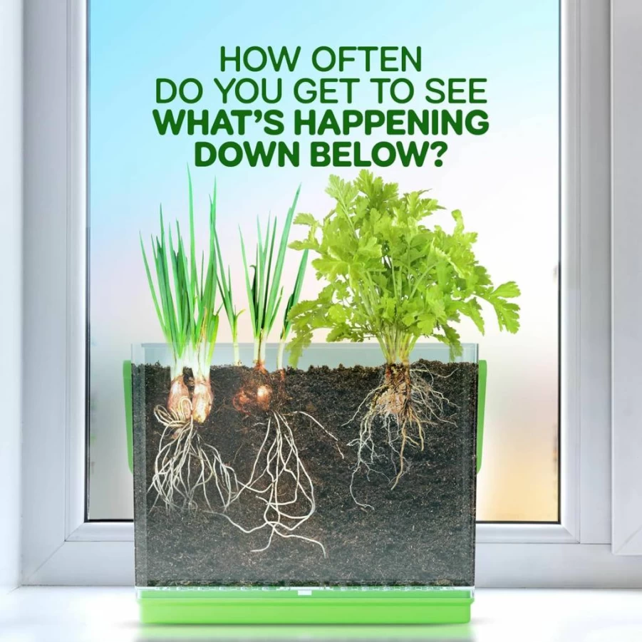 Dan&Darci Root Viewer Kit for Kids - STEM Gardening Toy Grow Your Own Plant, Science Educational Gift for Boys & Girls Ages 4-8, Birthday Present for 4-7 Year Olds