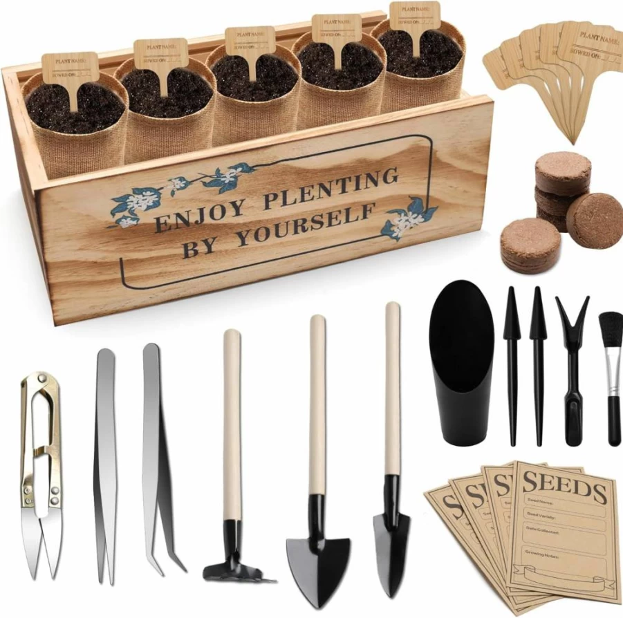 Zhaoyao Bonsai Tree Starter Kit - Complete Indoor Gardening Set with Planting Tools & Care Guide for Beginners & Enthusiasts