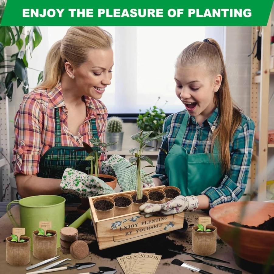 Zhaoyao Bonsai Tree Starter Kit - Complete Indoor Gardening Set with Planting Tools & Care Guide for Beginners & Enthusiasts
