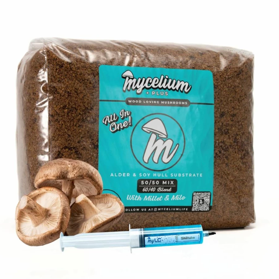 Mycelium Shiitake Mushroom Grow Kit - Organic Indoor Mushroom Cultivation with 6lb Sterilized Substrate (Millet & Milo) - Easy Home Gardening Gift