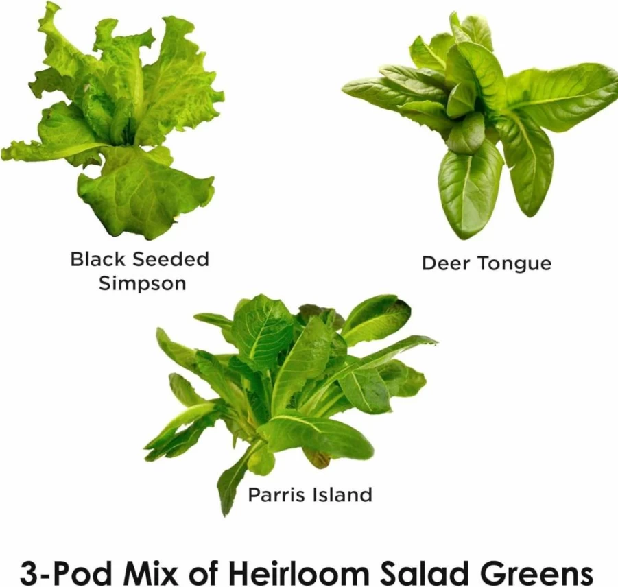 AeroGarden Hydroponic Salad Greens Seed Pod Kit - 6-Pod Indoor Garden System for Fresh Romaine Lettuce