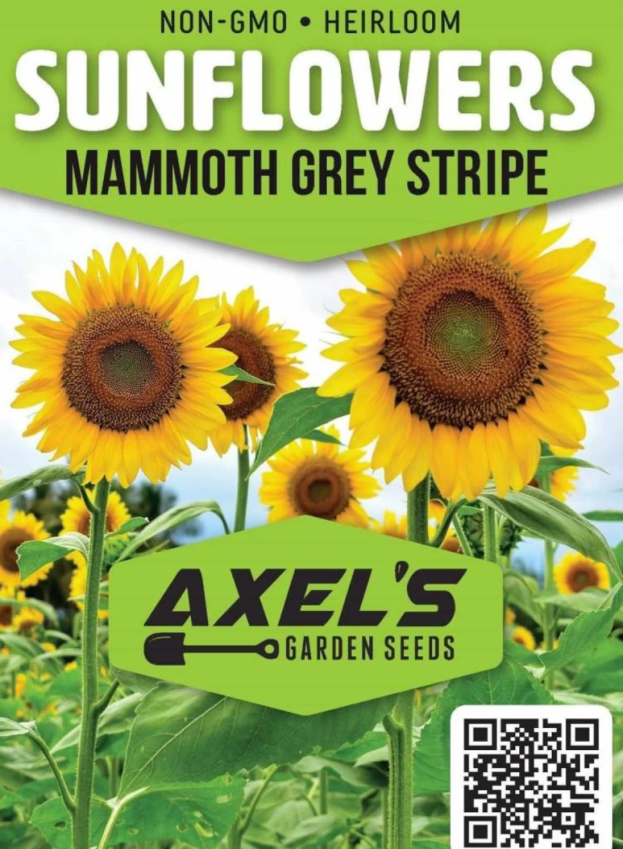 Axel's Garden Seeds Mammoth Sunflower Seeds for Planting - 50 Non-GMO Heirloom Giant Sunflower Seeds with Planting Guide - Perfect Gardening Gift for Home Garden
