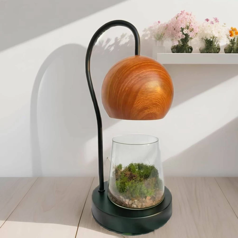 SPEALLOY Modern Wood Grain Terrarium Kit with LED Light for Succulents, Moss, Ferns - DIY Home Decor, Tabletop Garden, Desk Lamp for Plant Lovers