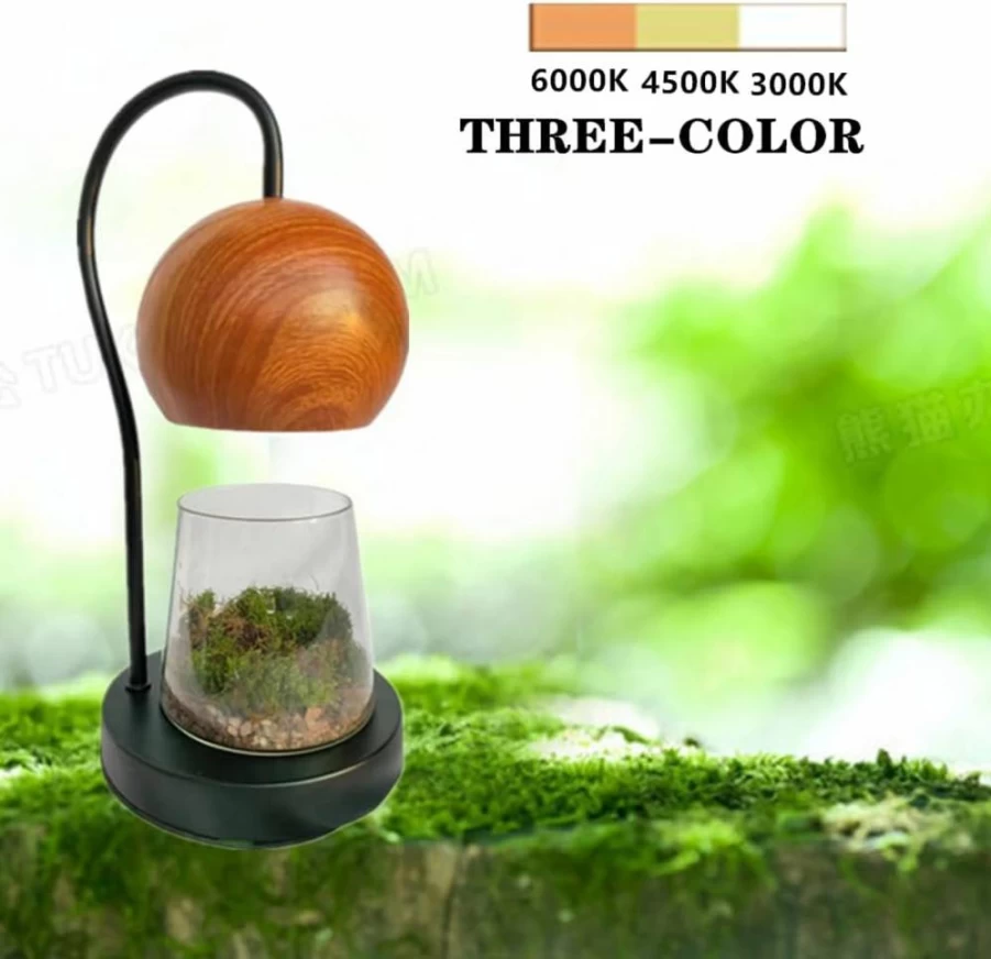 SPEALLOY Modern Wood Grain Terrarium Kit with LED Light for Succulents, Moss, Ferns - DIY Home Decor, Tabletop Garden, Desk Lamp for Plant Lovers