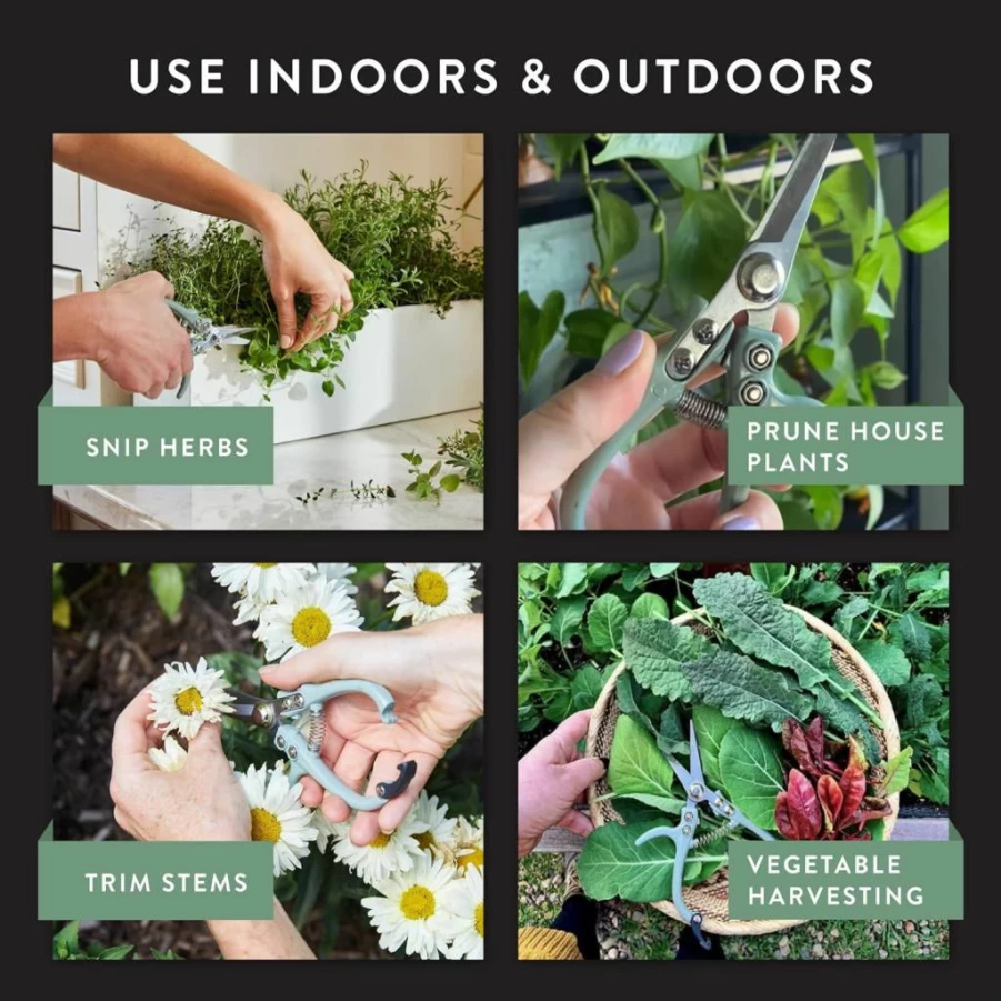 Modern Sprout Pruning Shears - Lightweight Carbon Steel Garden Scissors with Easy Lock & Reusable Holster for Herbs, Flowers, Gardening (Green, 1-Pack)