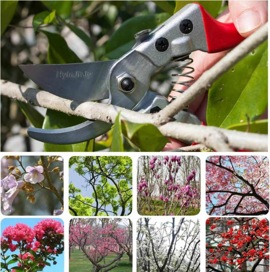 HyleJhJy Professional SK5 Steel Pruning Shears - Straight Tip Garden Clippers, Florist Scissors & Hand Pruners for Gardening Tools Set (Red)