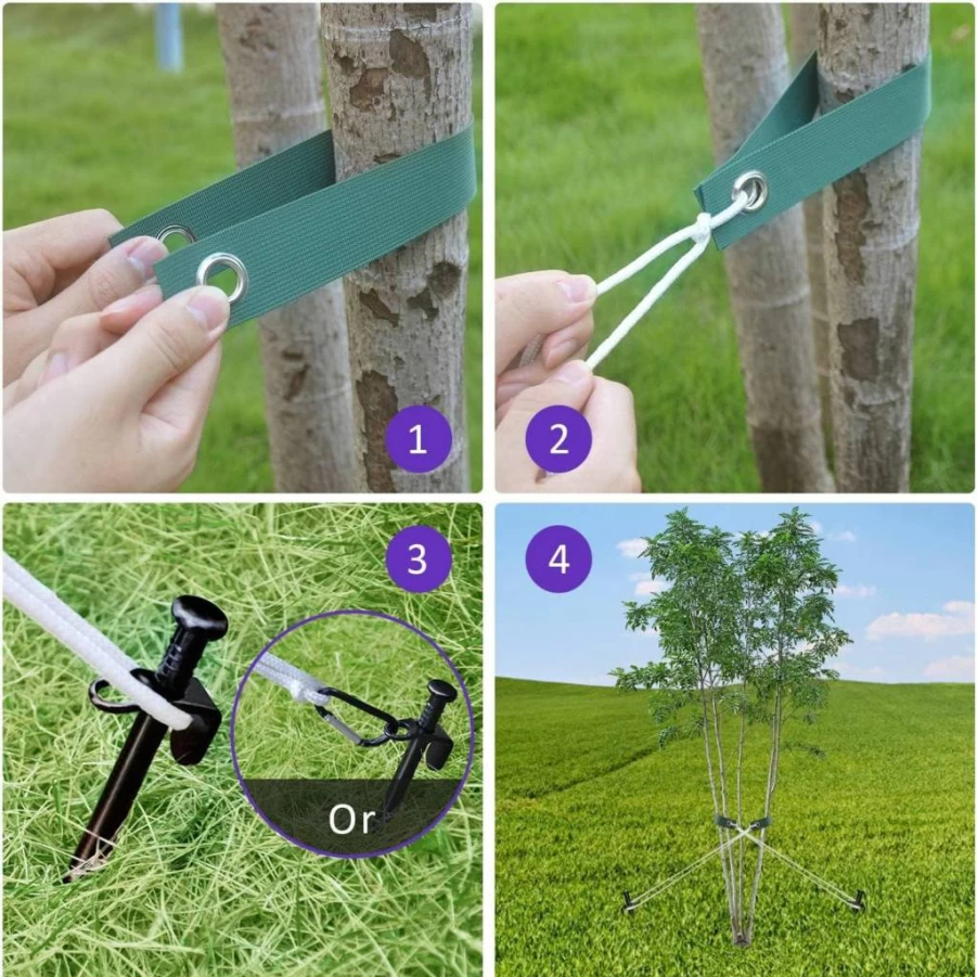 FCENDS Heavy Duty Tree Support Kit - 3 Steel Stakes (11.8"), 3 Adjustable Straps & 31.2ft Anchoring Rope for Young Tree Protection in Storms/Wind