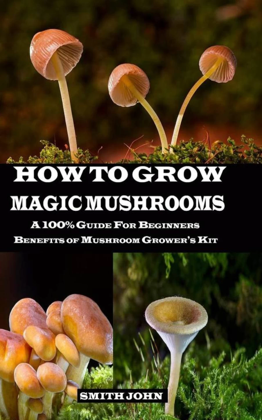 How to Grow Magic Mushrooms: Complete Beginner's Guide & Benefits of Grow Kits