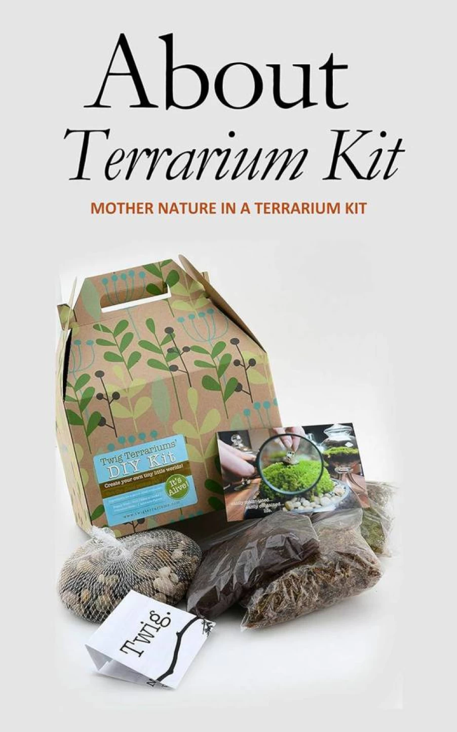 Amazon Terrarium Kit: Create Your Own Miniature Nature Ecosystem at Home