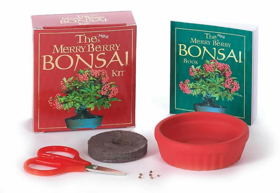 Amazon Mini Merry Berry Bonsai Kit – Grow Your Own Tiny Fruit Tree at Home