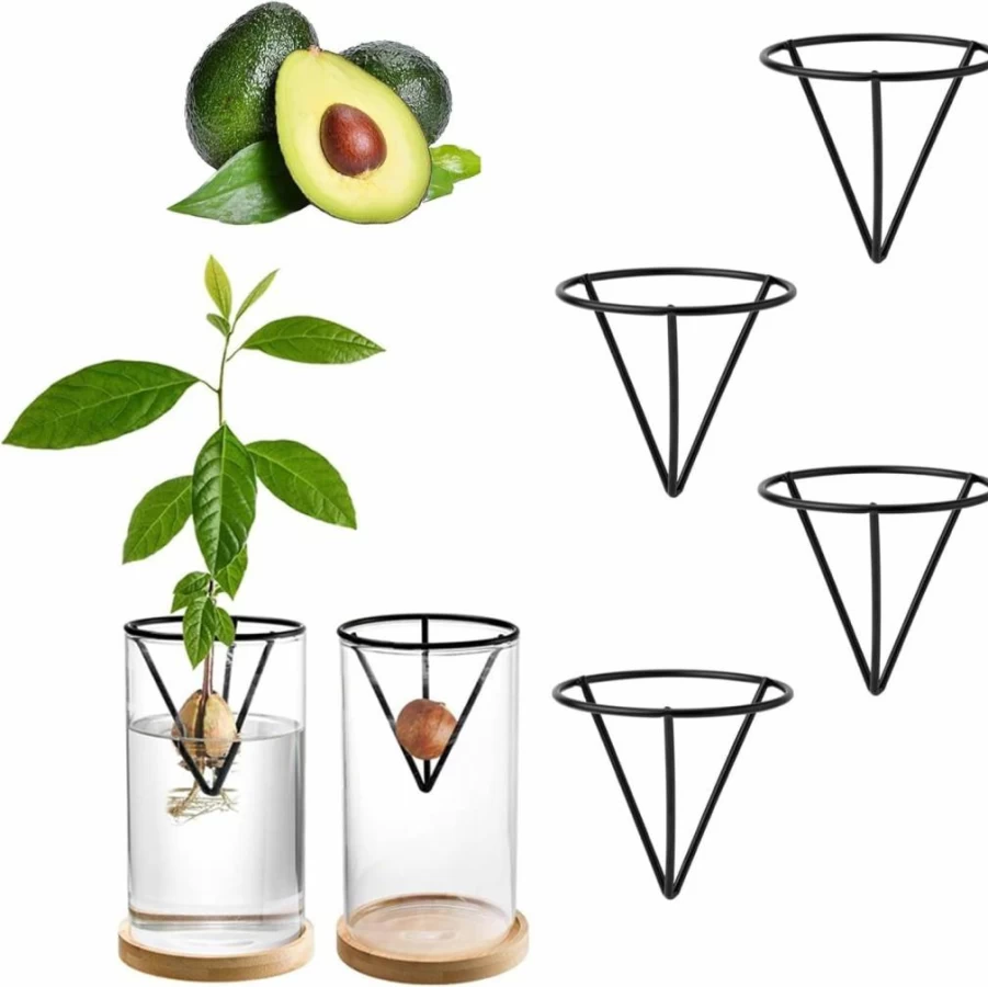 Yimluofa 4-Piece Avocado Seed Starter Kit with Metal Stands – Home Gardening Gifts for Men & Women, Indoor Plant Grower Set for Office Desk Decor