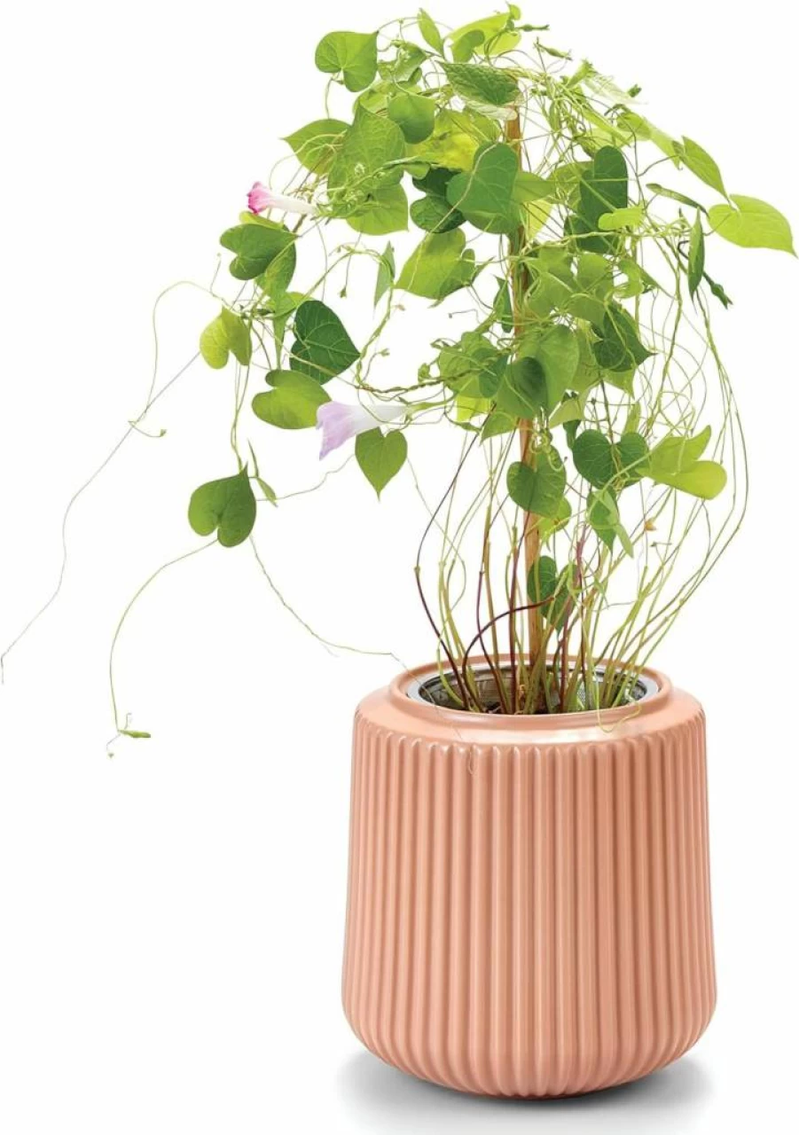 Modern Sprout Hydroponic Flower Grow Kit - Self-Watering Ceramic Planter with Zinnia & Dahlia Seeds - Indoor Gardening System for Home Decor, Unique Plant Gift Idea