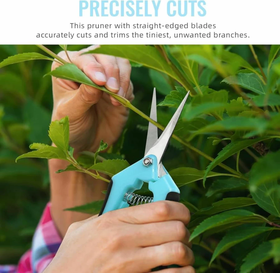 BEoffer 6.5 Inch Pruning Shears 4 Pack, Stainless Steel Garden Scissors for Precise Trimming, Flower & Plant Maintenance, Sharp Gardening Snips with Straight Blades