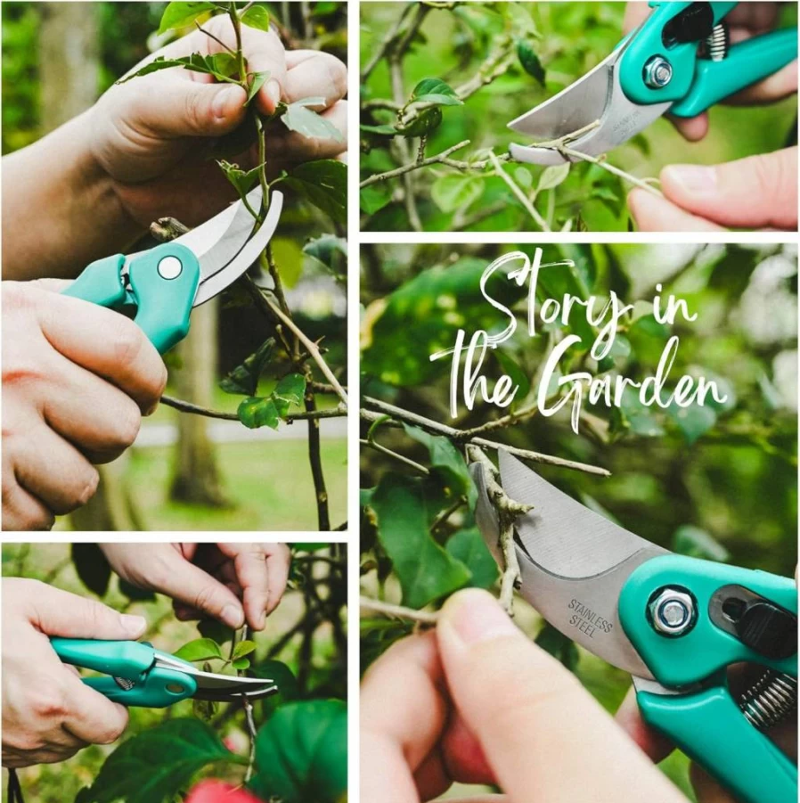 Mefape 16-Piece Bonsai Starter Kit with Carbon Steel Scissors, Stainless Steel Rake & Shovel – Complete Gardening Tool Set for Trimming, Pruning & Care